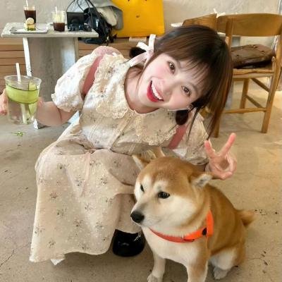 第七个同行者 海报
